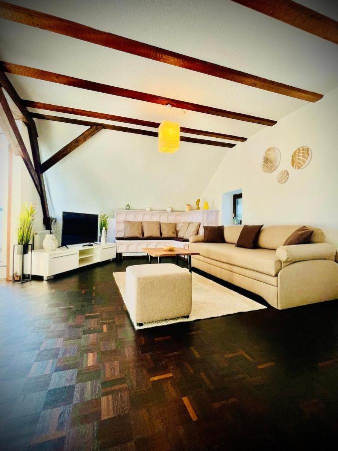 Chris & Aris Ferienwohnung Waldshut Zentrum エクステリア 写真