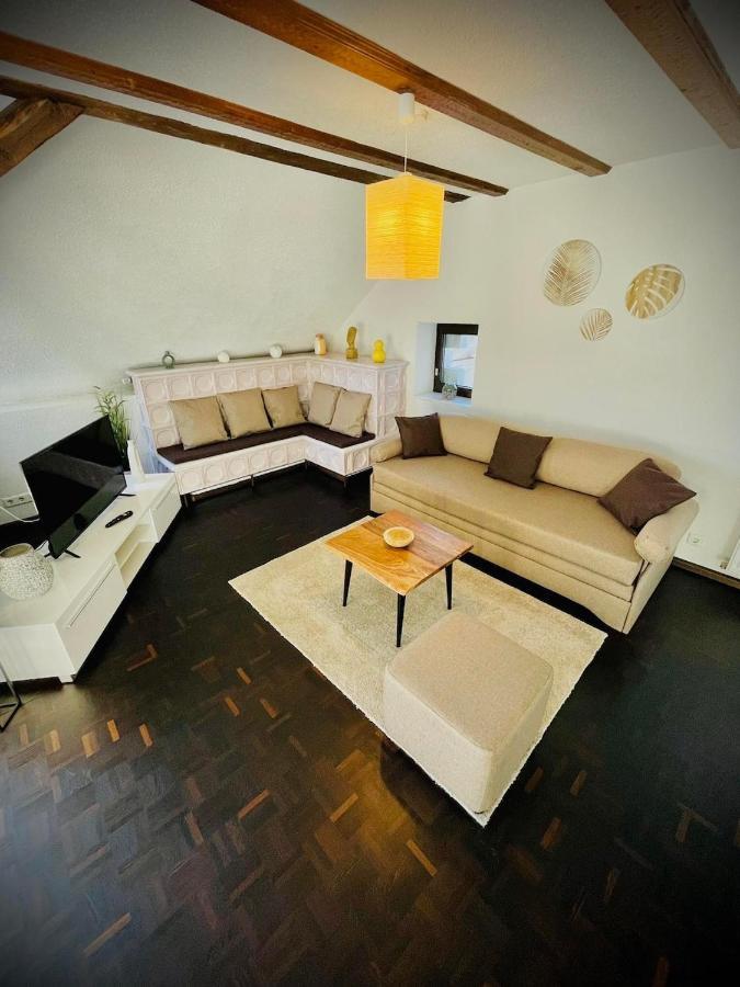 Chris & Aris Ferienwohnung Waldshut Zentrum エクステリア 写真