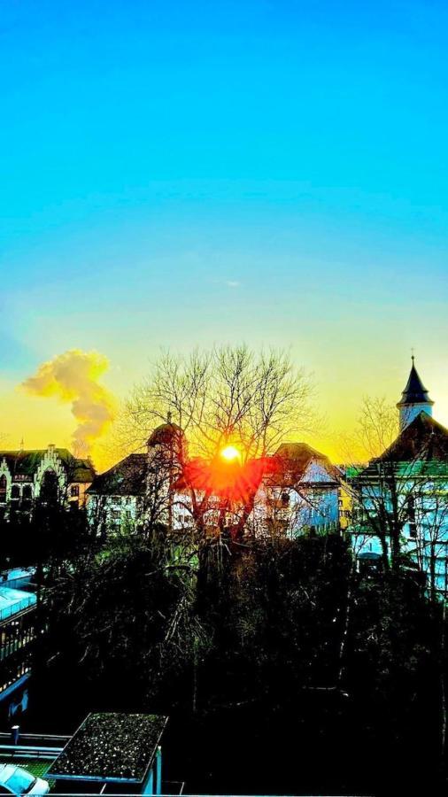 Chris & Aris Ferienwohnung Waldshut Zentrum エクステリア 写真